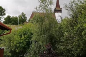 Casa de oaspeţi Körös Izvoru Crișului