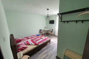 Casa de oaspeți Podgoria