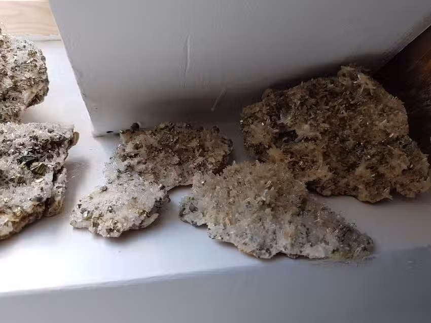 Casa de oaspeți ” Rodica”