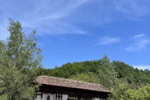 Casa de Oaspeți Zălan