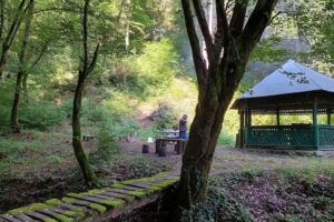 Casa de pe Valea Ormanului