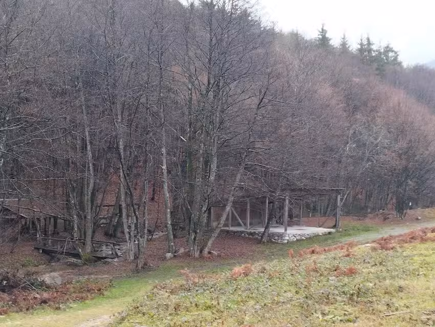 Casă de vacanța ,,Colț de Munte ’’