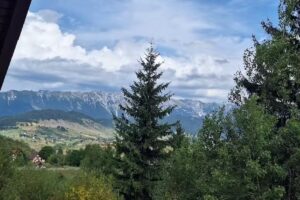 Casa de vacanță „Cota 1243” (Burguiana)