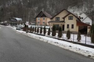 Casa de Vacanță Dana