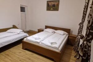 Casa de vacanta Diana Turnu Rosu