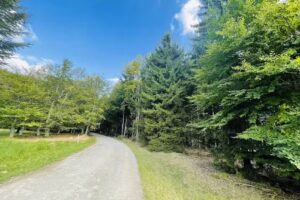 Casa de vacanță din Sâncel – Szencsedi kulcsosház