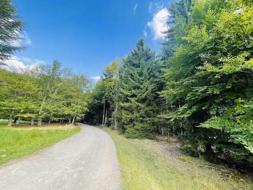 Casa de vacanță din Sâncel – Szencsedi kulcsosház