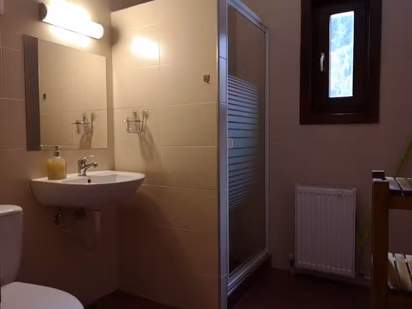 Casa de Vacanta Dintre Brazi