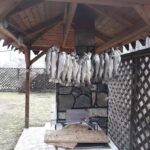 Casa de vacanța Elena