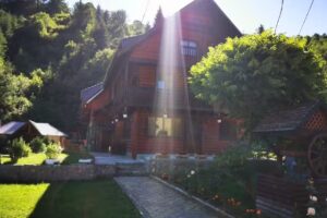 Casa de vacanta Garofita