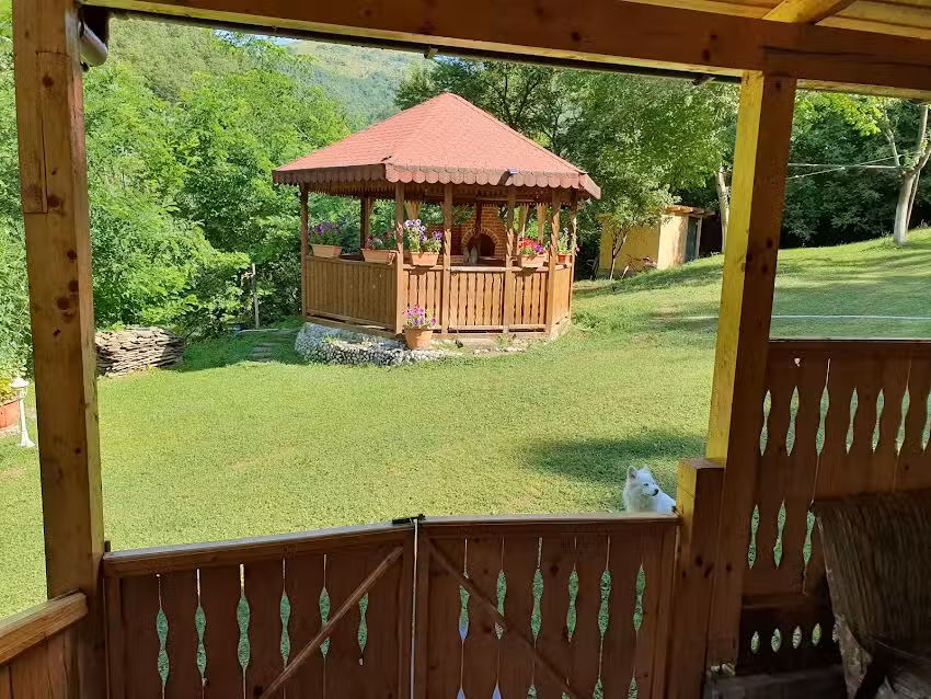 Casa De Vacanta Geoagiu De Sus