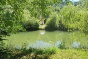 Casa de vacanta Irys