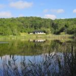 Casa de vacanta La stejari