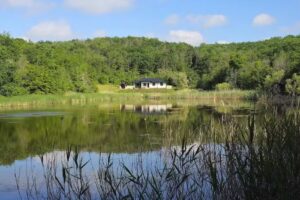 Casa de vacanta La stejari