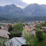 Casa de vacanta Magnolia