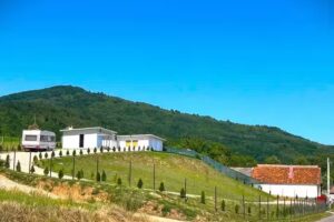 Casa de vacanta MAXIM