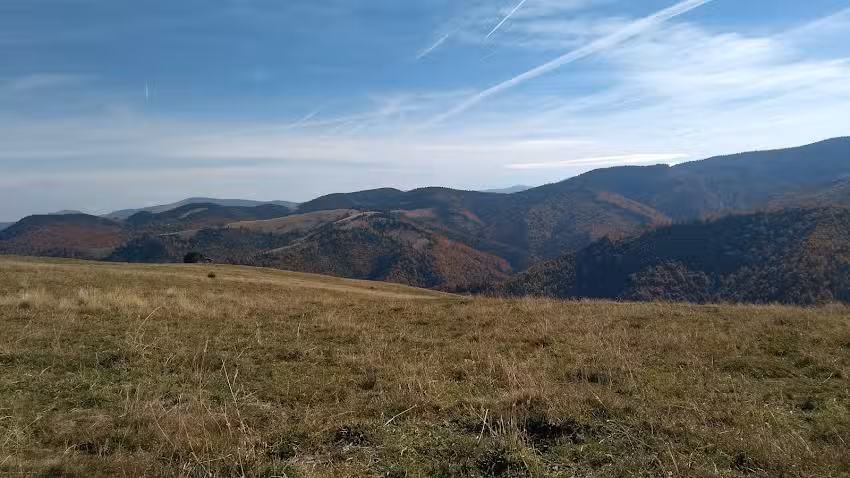 Casa de Vacanta Orita Paltinis