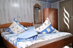 Casa de Vacanta Rindunica Lepsa