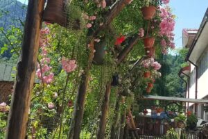 Casa de Vacanta Rindunica Lepsa