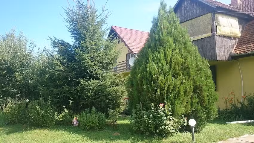 Casa De Vacanta Simona