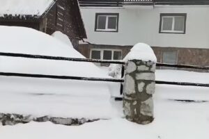 CASA DE VACANTA VARTOP