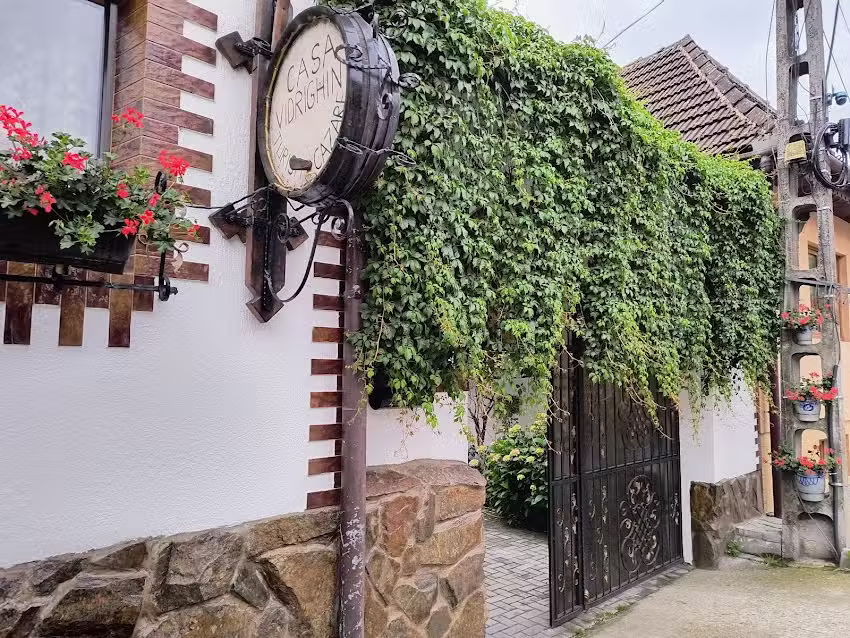 Casa de Vacanta Vidrighin