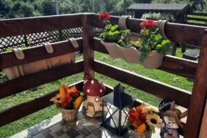 Casa de vacanță Visul Doamnei