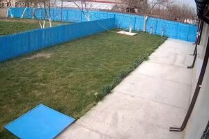 Casa De Vacanța Vlăduț