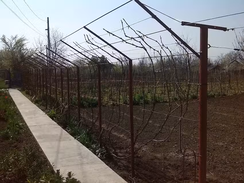 Casa di Vivi (VirusFM)