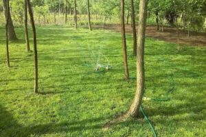 Casa di Vivi (VirusFM)