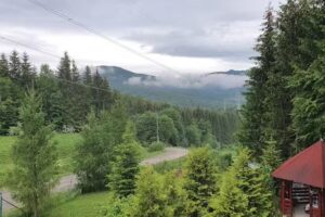 Casa din Pădure Valea Doftanei