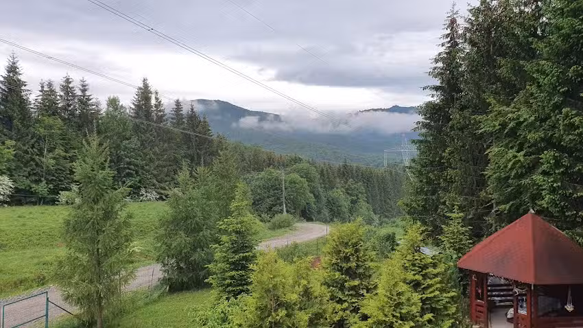 Casa din Pădure Valea Doftanei