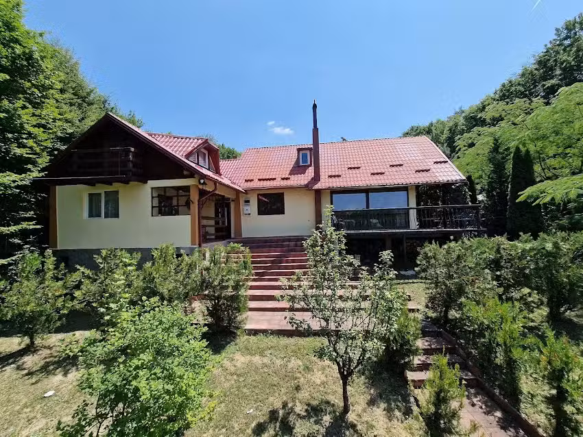 Casa Domeniile Petrache