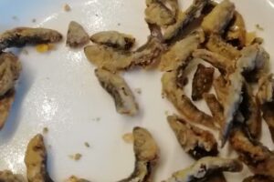 Casa Dora Costinești