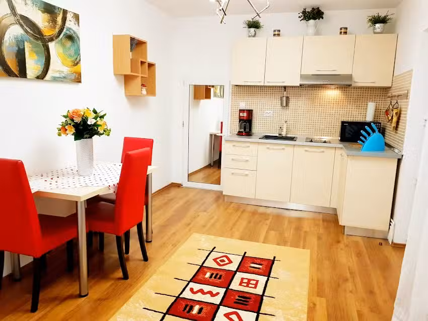 Casa Dușa – Apartament Crisstina