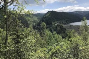 Casa Fara Ganduri (Belvedere)