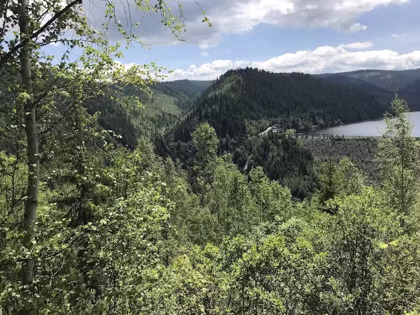 Casa Fara Ganduri (Belvedere)