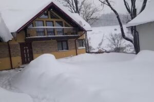 Casa Fierarul din Bucovina