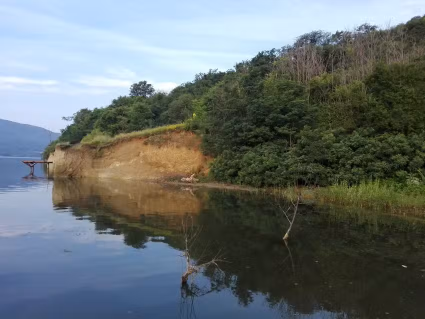 Casa Floarea Soarelui