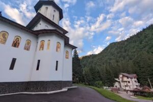 Casa Flora Piscul Negru-Transfagarasan