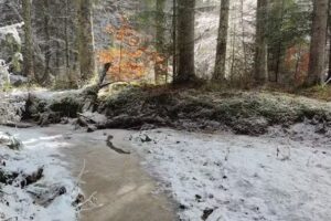 Casa George – Moldovița