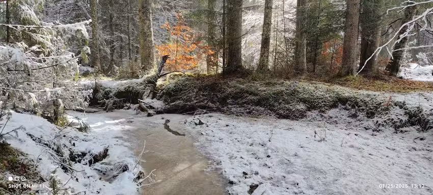 Casa George – Moldovița