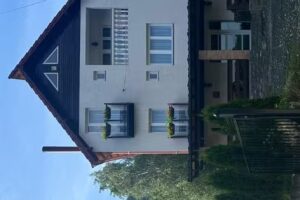 Casa Ika și Matei Borșa