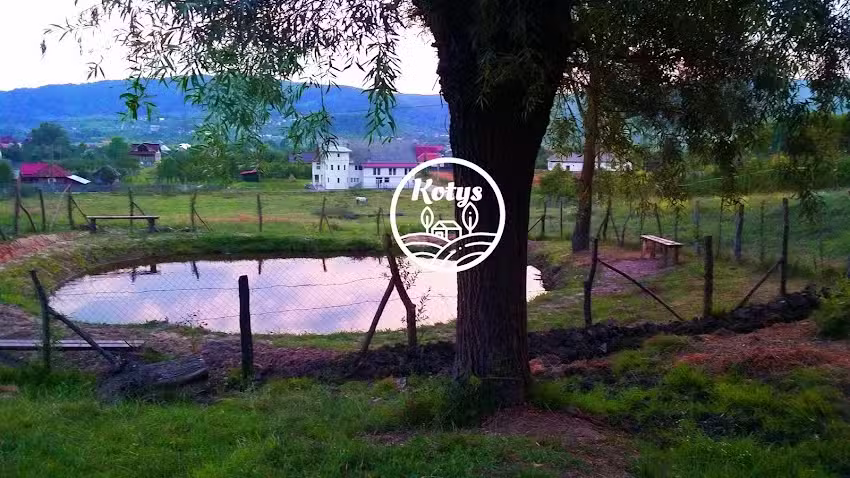 Casa Kotys