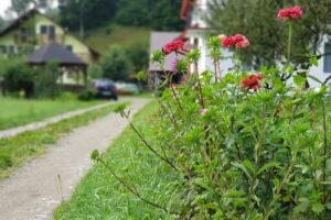 Casa La doi Băieți