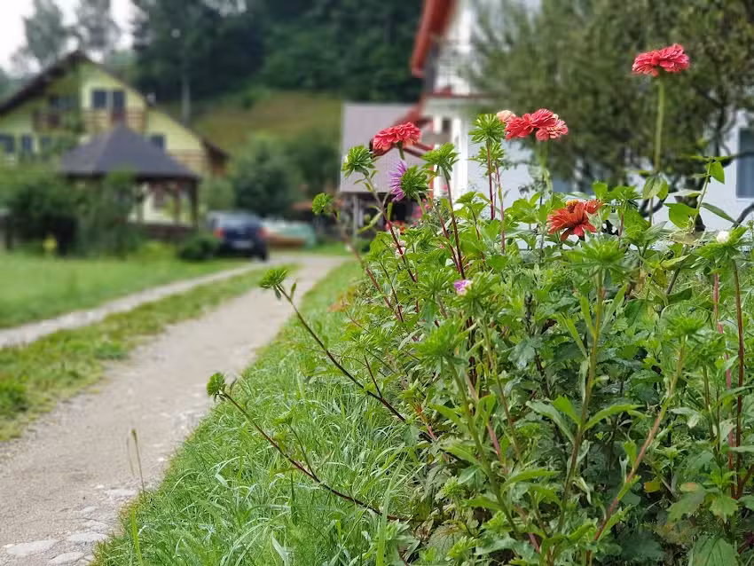 Casa La doi Băieți