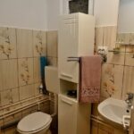 Casa Linistita Paltineni ☆☆