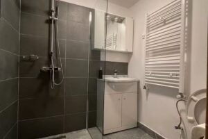 Casa Lupilor Transfagarasan