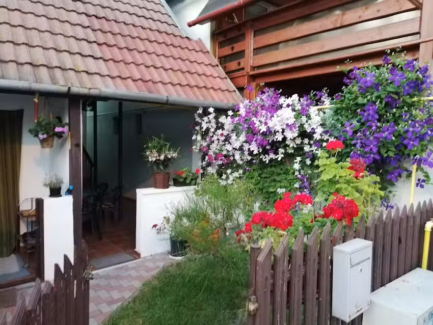 Casa Maya Strand termal Tasnad