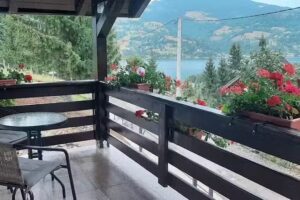 Casa Mihali Colibița